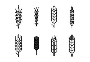 Wheat ears set icons vector