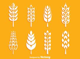White Wheat Ears Collection Vector