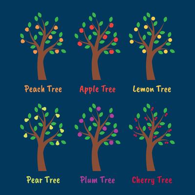 Trees And Fruits Illustration Set