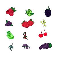 Berry Fruits Vectors