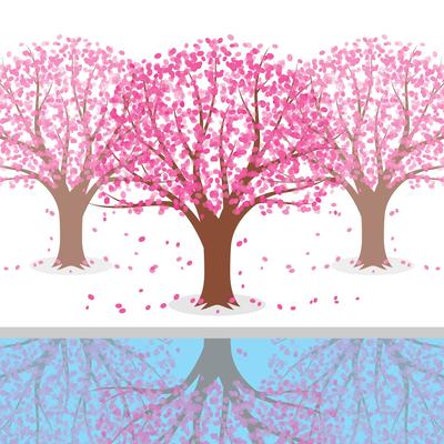 Japanese Plum Blossom Tree Illustration