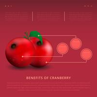 Beneficios de la plantilla de infografía Cranberries vector