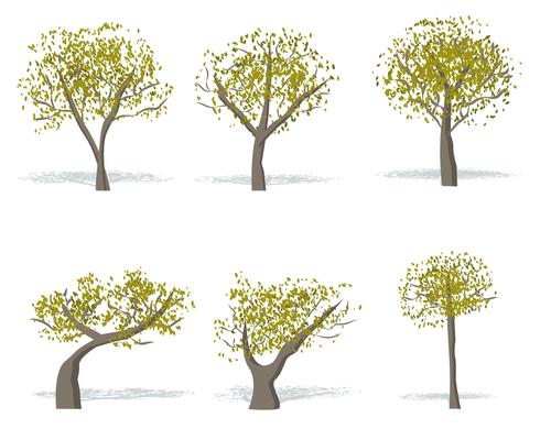 Free Gum Tree Vector