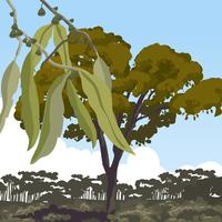 Landscape with Gum Tree Vector