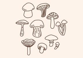 Brown Set Of Doodled Mushrooms vector