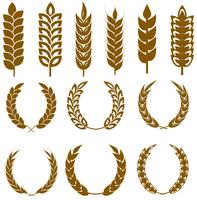 Vector conjunto de iconos de orejas de trigo