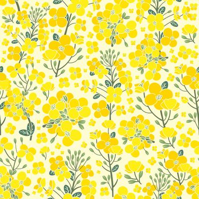 Canola Pattern