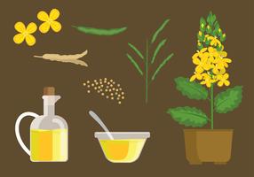 Canola Plant Set Free Vector