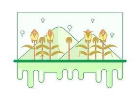 Corn Stalk Vector Illustration