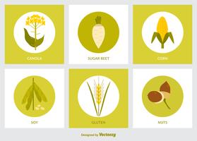 Flat GMO Product Icon Vector Set