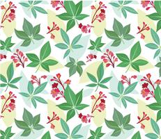 Free Buckeye Pattern Vectors