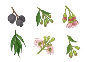 Gum Tree Flower Free Vector