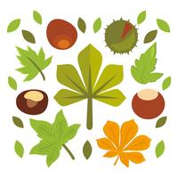 Gratis Buckeye Green Tree Leaves Vector