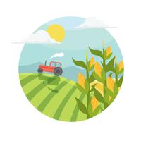 Corn Stalks in Field Illustration