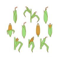 Free Corn Plants Vector