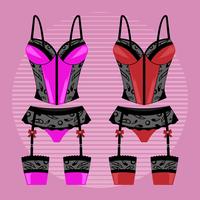 Woman's Lingerie with Garter Vectors 