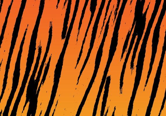 Tiger Stripes Background