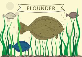 Flounder fish vector
