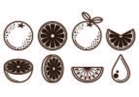 Set Of Clementine Fruit Icons vector
