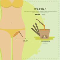 Waxing Bikini Line Illustration vector