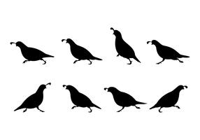 Running Quail Silhouette Free Vector