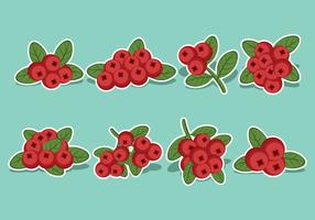 Cranberries Icon Set vector