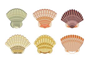 Set of Scallops shell Illustration Isolated on White Background vector