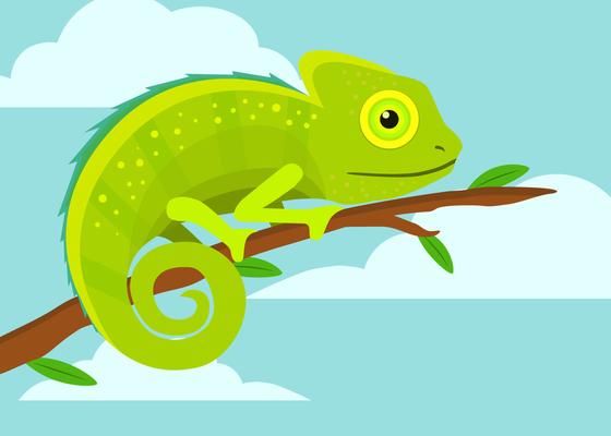 Cute Chameleon