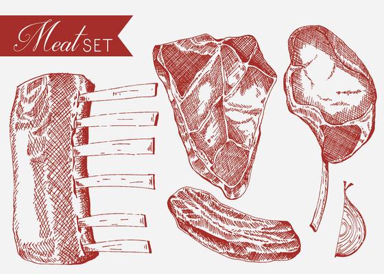 Veal Set Hand Drawn Vector