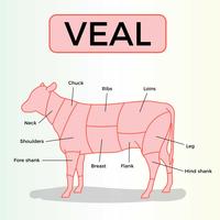 Free Veal Vector