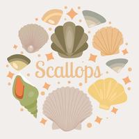 Free Scallops Seashell Vector