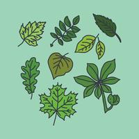 Doodle de hojas vector