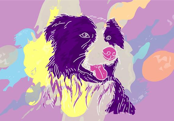 Free Border Collie Vector Illustration