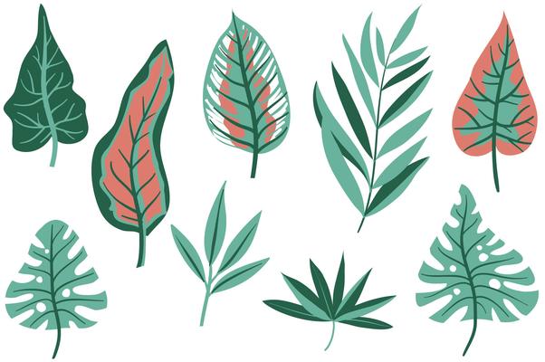 Free Tropical Leaves Vectors 