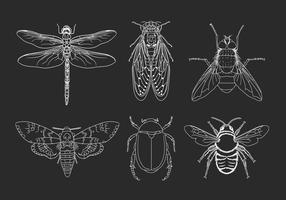 Ilustración dibujada a mano insectos vector