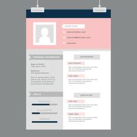 Feminine Designer Resume vector