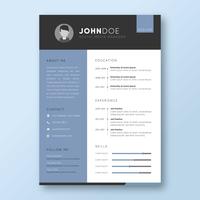 Corporate Resume vector