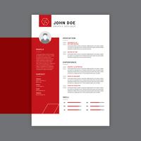 Graphic Designer Resume Red Vector