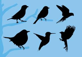 Ilustración de vector de siluetas de pájaro