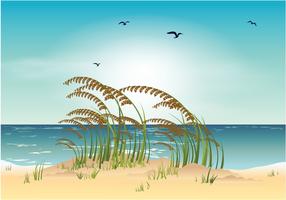 Ilustración de vector de playa de avena de mar