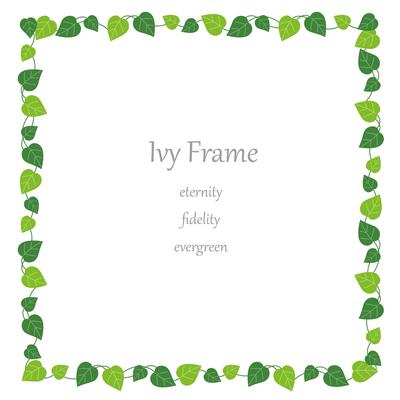 Square ivy frame.