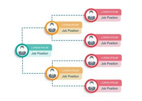 Business  Organogram Chart vector