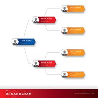 Organogram Template Vector