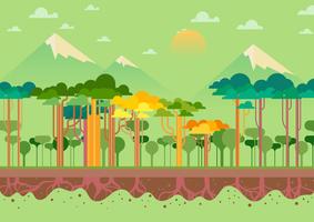 Abstract Forest vector