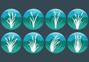 Free Cattails Icon Vector