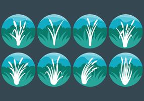 Vector de icono de Cattails gratis