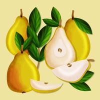 Vector Hand Drawn Pears