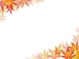 A maple leaf frame/background illustration. vector