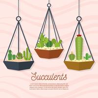 Flat Succulent Vector Illustration