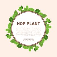 Hop Plant Vector Illustration